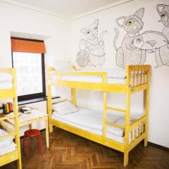 Kotiki Hostel детские мероприятия фото 2