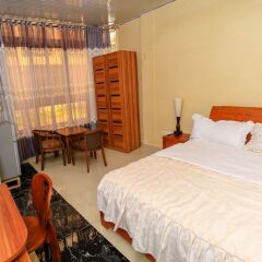 Tiger's Apartment Hotel комната для гостей фото 4