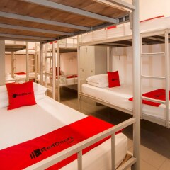 Отель Coziee Lodge детские мероприятия