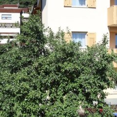 Отель Pensione Penegalblick Аппиано-сулла-Страда-дель-Вино