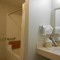Отель Hilton Garden Inn Columbus Airport США, Колумбус - отзывы, цены и фото номеров - забронировать отель Hilton Garden Inn Columbus Airport онлайн ванная