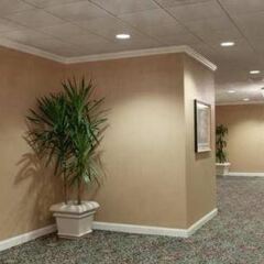 Отель Hilton Washington DC/Rockville Hotel & Executive Meeting Center США, Роквилль - отзывы, цены и фото номеров - забронировать отель Hilton Washington DC/Rockville Hotel & Executive Meeting Center онлайн спа