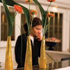 Отель Villa Carlton Австрия, Зальцбург - 2 отзыва об отеле, цены и фото номеров - забронировать отель Villa Carlton онлайн в номере