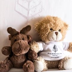 Отель Four Seasons Hotel Vancouver Канада, Ванкувер - отзывы, цены и фото номеров - забронировать отель Four Seasons Hotel Vancouver онлайн с домашними животными