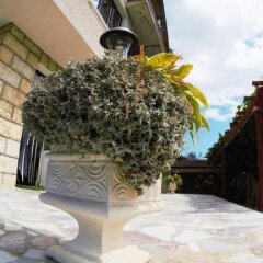 Отель Atanasovi House Болгария, Аврен - отзывы, цены и фото номеров - забронировать отель Atanasovi House онлайн с домашними животными