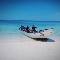 Ratu Kini Backpackers Dive Resort in Bounty Island, Fiji from 50$, photos, reviews - zenhotels.com photo 2