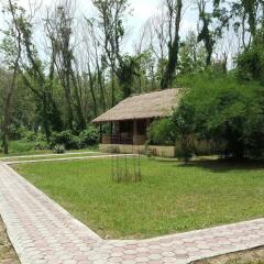 Отель Lumbini Buddha Garden Resort Непал, Лумбини - отзывы, цены и фото номеров - забронировать отель Lumbini Buddha Garden Resort онлайн фото 9