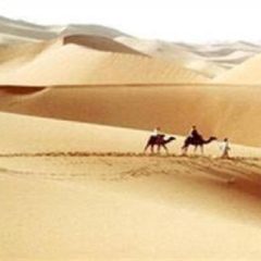 Отель Camel Safari Camp Марокко, Мерзуга - отзывы, цены и фото номеров - забронировать отель Camel Safari Camp онлайн пляж фото 2