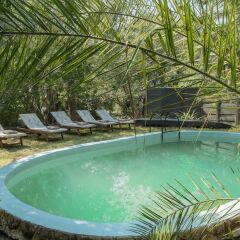 Xaro Lodge in Okavango Delta, Botswana from 438$, photos, reviews - zenhotels.com pool