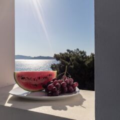 Отель Dionysos Hotel Греция, Агистри - отзывы, цены и фото номеров - забронировать отель Dionysos Hotel онлайн приотельная территория фото 2