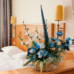 Hotel Partner развлечения