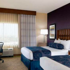 Отель DoubleTree by Hilton Carson 3* Стандартный номер с различными типами кроватей фото 14