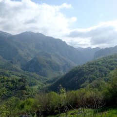 Отель La Terraza Испания, Кабралес - отзывы, цены и фото номеров - забронировать отель La Terraza онлайн фото 4