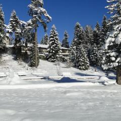 Отель Borovets Hills Resort & SPA Боровец спортивное сооружение