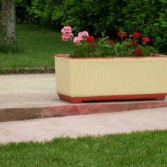 Отель Agriturismo Nuvolino - Guest House Монцамбано фото 14