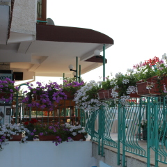 Hotel Zora детские мероприятия