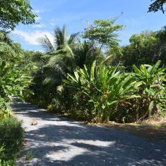Отель Baan Suan Farmstay Ланта фото 4