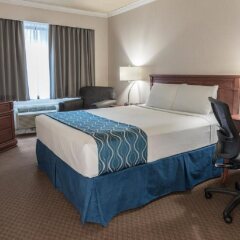 Отель Capital Hill Hotel & Suites Канада, Оттава - отзывы, цены и фото номеров - забронировать отель Capital Hill Hotel & Suites онлайн комната для гостей