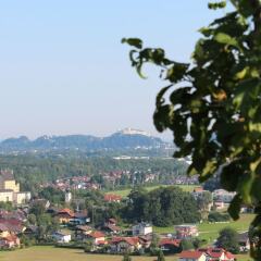 Отель Haus Haslach Эльсбетен
