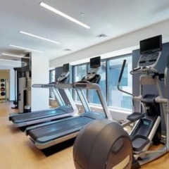 Отель Novotel Ottawa Канада, Оттава - отзывы, цены и фото номеров - забронировать отель Novotel Ottawa онлайн фото 6