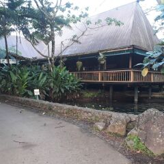 Отель Colo-I-Suva Rainforest Eco Resort Вити-Леву фото 7