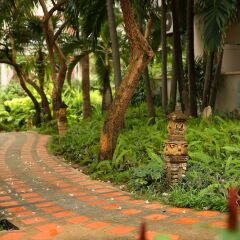 Отель Diana Garden Resort & Lodge фото 3