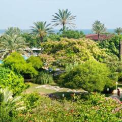 Belconti Resort Hotel - All Inclusive фото 11