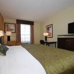 Отель Best Western Plus Manatee удобства в номере фото 2