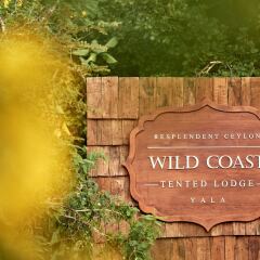 Отель Wild Coast Tented Lodge - All Inclusive Шри-Ланка, Тиссамахарама - отзывы, цены и фото номеров - забронировать отель Wild Coast Tented Lodge - All Inclusive онлайн спортивное сооружение