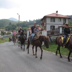 Отель Family Hotel Smolena Болгария, Чепеларе - отзывы, цены и фото номеров - забронировать отель Family Hotel Smolena онлайн фото 23