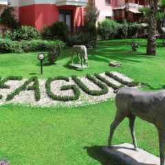 Sea Gull Турция, Текирова - отзывы, цены и фото номеров - забронировать отель Sea Gull - All Inclusive онлайн фото 2