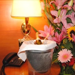 Hotel Verona-Rome спа