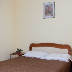 Гостиница Elysium Hotel в Самаре отзывы, цены и фото номеров - забронировать гостиницу Elysium Hotel онлайн Самара комната для гостей фото 5