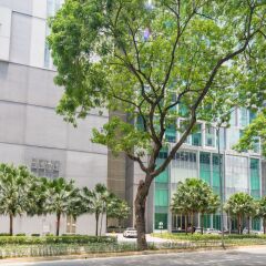 Отель Soho Suites KLCC Apartment Малайзия, Куала-Лумпур - отзывы, цены и фото номеров - забронировать отель Soho Suites KLCC Apartment онлайн парковка