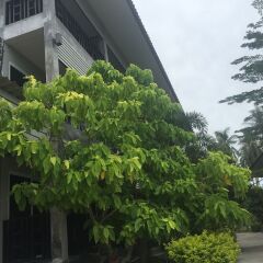 Baan Suan Ta Hotel фото 13