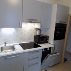 Отель Karlsbad Apartments Чехия, Карловы Вары - отзывы, цены и фото номеров - забронировать отель Karlsbad Apartments онлайн фото 11