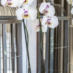 Отель B&B Atelier20 Бельгия, Антверпен - отзывы, цены и фото номеров - забронировать отель B&B Atelier20 онлайн с домашними животными