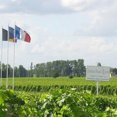 Отель Le Relais De Franc Mayne Saint Emilion Франция, Сент-Эмильон - отзывы, цены и фото номеров - забронировать отель Le Relais De Franc Mayne Saint Emilion онлайн фото 8