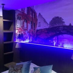 Отель Golden Tree Hotel Бельгия, Брюгге - 4 отзыва об отеле, цены и фото номеров - забронировать отель Golden Tree Hotel онлайн гостиничный бар