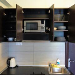 Апартаменты Alexanika Apartments Ситония в номере