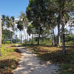 Отель Chaw Ka Cher Tropicana Lanta Resort Таиланд, Ланта - отзывы, цены и фото номеров - забронировать отель Chaw Ka Cher Tropicana Lanta Resort онлайн приотельная территория фото 2