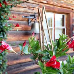 Отель Naturfreundehaus Davos Clavadel фото 2
