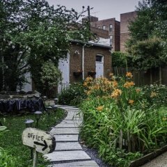 Отель Adams Inn США, Вашингтон - отзывы, цены и фото номеров - забронировать отель Adams Inn онлайн фото 8
