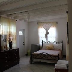 Fern Tree Bed And Breakfast in Basseterre, St. Kitts and Nevis from 140$, photos, reviews - zenhotels.com guestroom photo 3