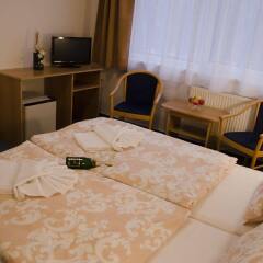 Hotel Zátiší Františkovy Lázně Франтишкови-Лазне комната для гостей фото 2