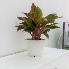 Отель Yuri SaiGon Service Aparment ванная
