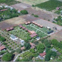 Ozge Hotel Bungalow Кемер фото 4