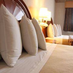 Отель Nob Hill Motor Inn комната для гостей фото 2
