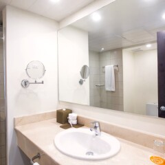 Отель Impressive Resort & Spa Доминикана, Пунта Кана - 8 отзывов об отеле, цены и фото номеров - забронировать отель Impressive Resort & Spa онлайн ванная