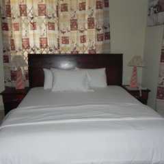 Oriental Hotel North Legon in Accra, Ghana from 101$, photos, reviews - zenhotels.com guestroom photo 4